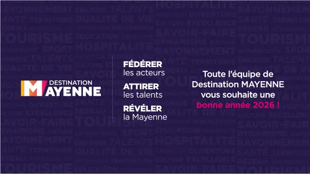 Bonne Annee Banniere Web Pro