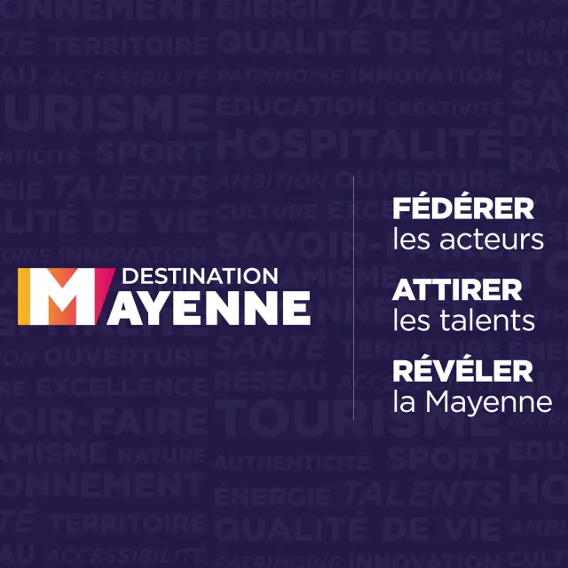 Bonne Annee Banniere Web Pro